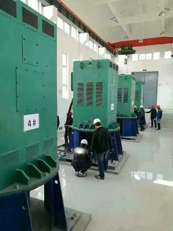 济南某污水处理厂使用我厂的立式高压电机安装现场